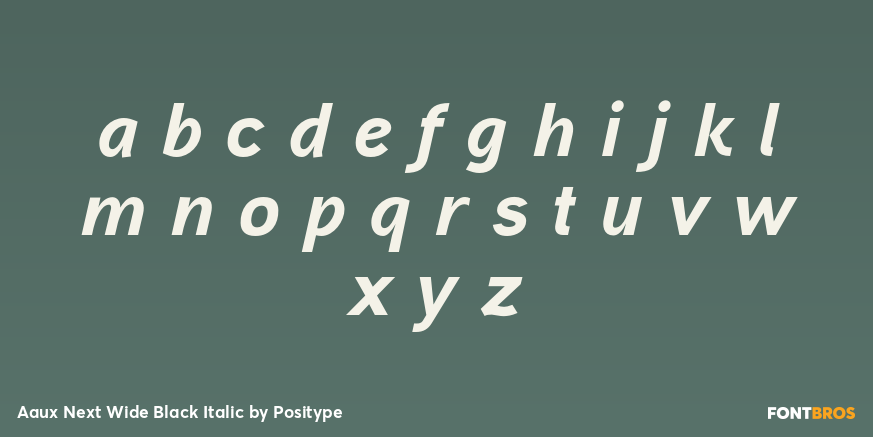 Aaux Next Wide Black Italic Font Poster #3
