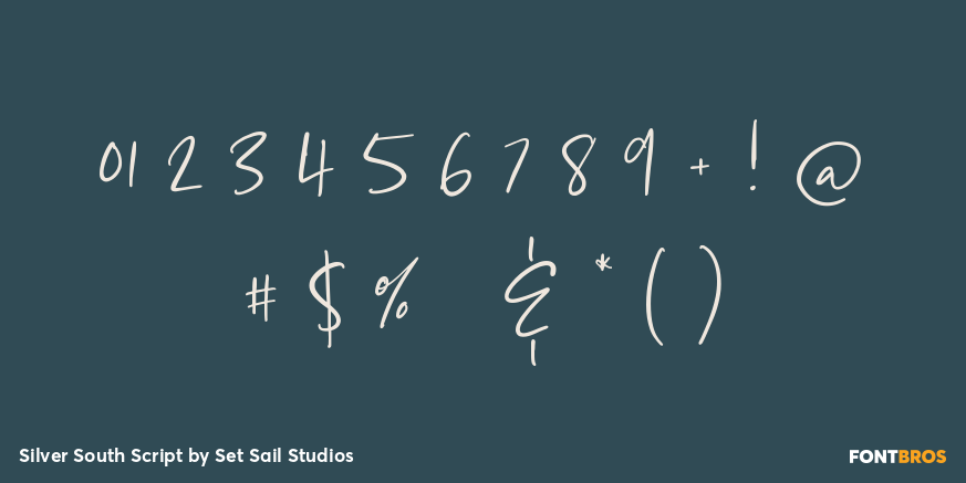 Silver South Script Font Poster #1