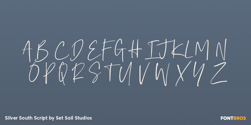 Silver South Script Font Poster #2