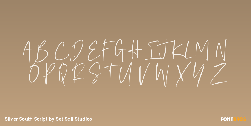 Silver South Script Font Poster #1