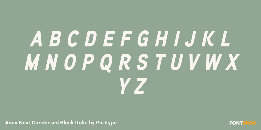 Aaux Next Condensed Black Italic Font Poster #2