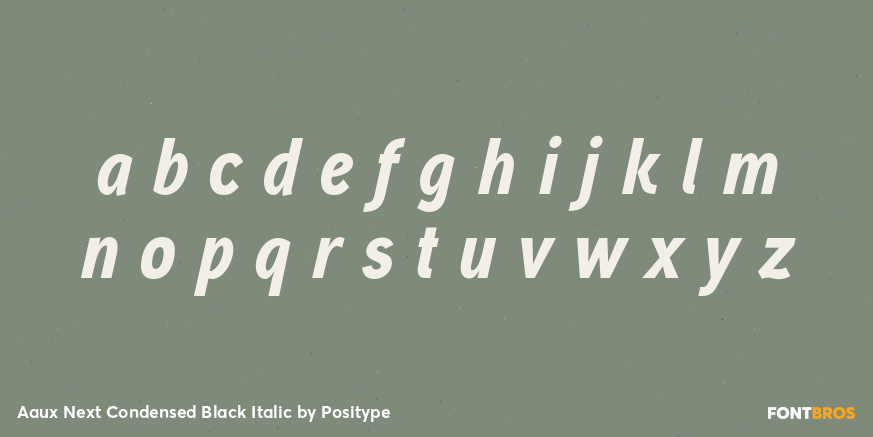 Aaux Next Condensed Black Italic Font Poster #1