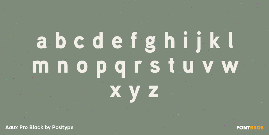Aaux Pro Black Font Poster #3