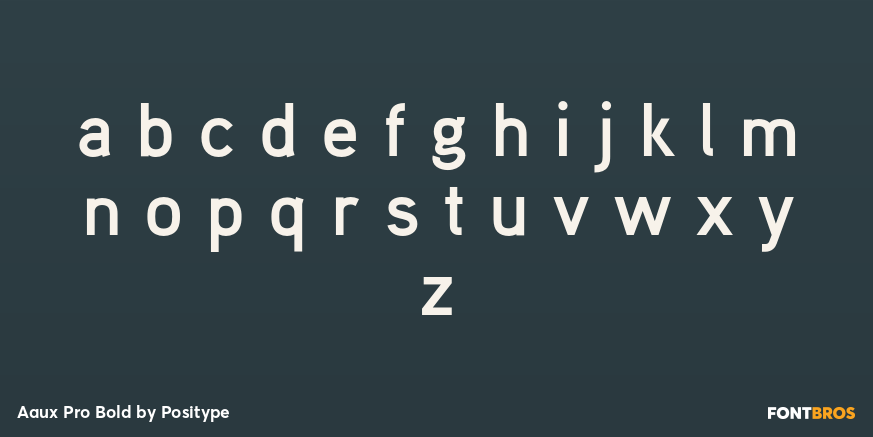 Aaux Pro Bold Font Poster #1