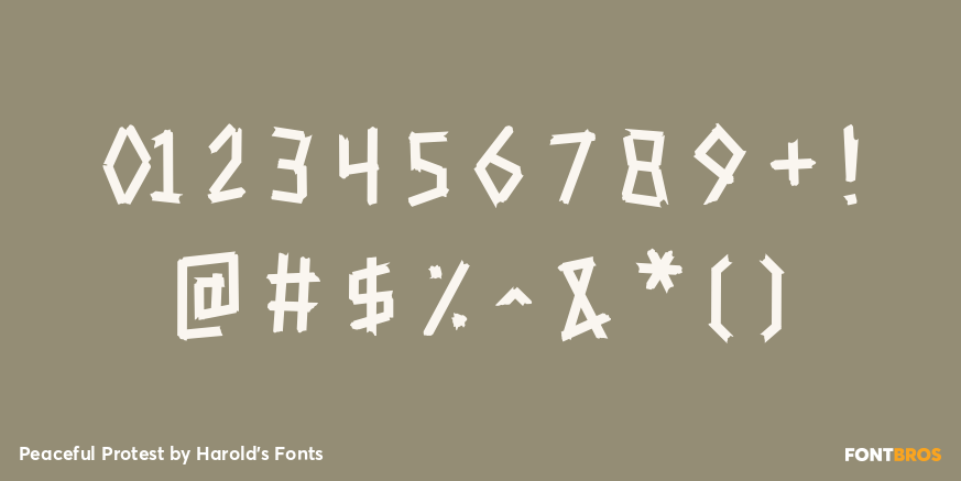 Peaceful Protest Font Poster #4