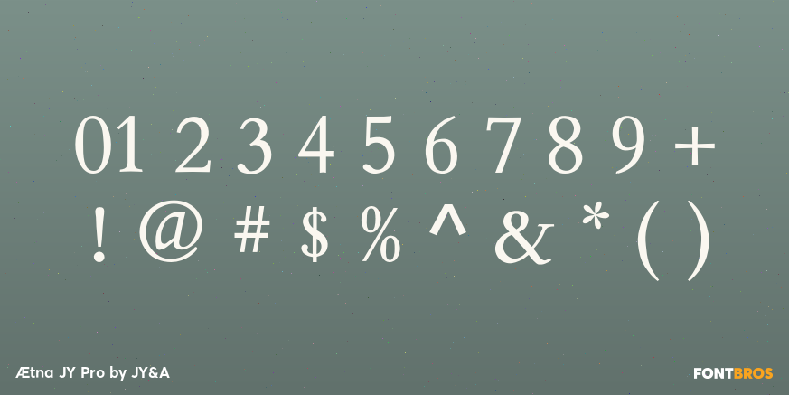 Ætna JY Pro Font Poster #4