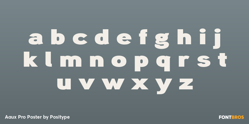 Aaux Pro Poster Font Poster #3