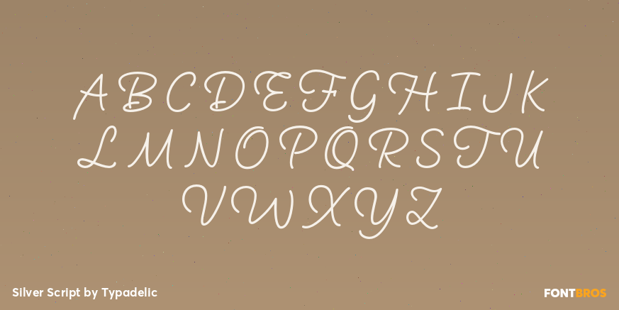 Silver Script Font Poster #2