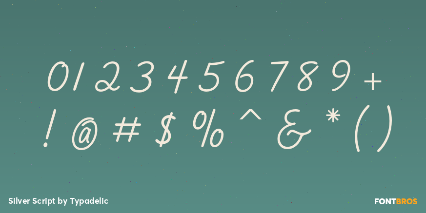 Silver Script Font Poster #4