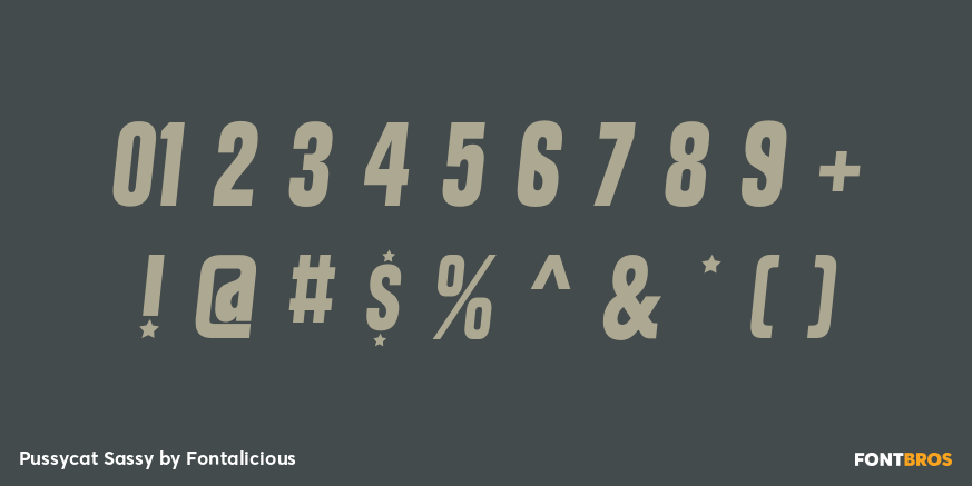 Pussycat Sassy Font Poster #1