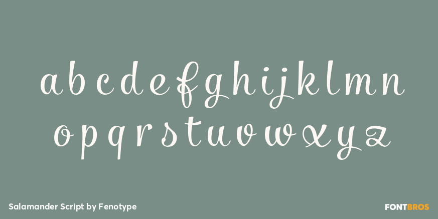 Salamander Script Font Poster #3