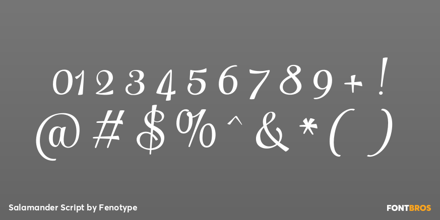 Salamander Script Font Poster #4