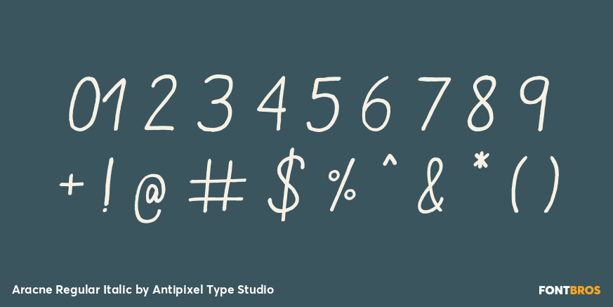 Aracne Regular Italic Font Poster #1