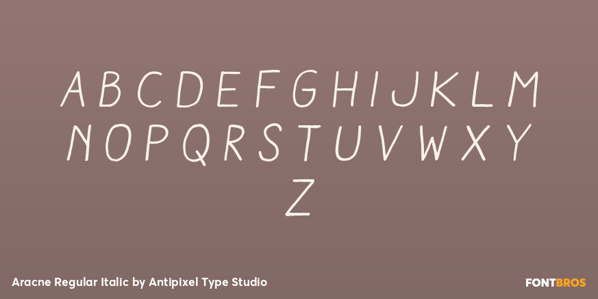 Aracne Regular Italic Font Poster #2