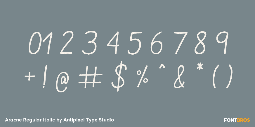 Aracne Regular Italic Font Poster #4