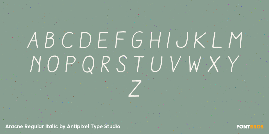Aracne Regular Italic Font Poster #1