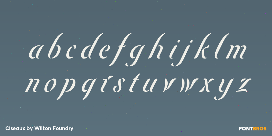 Ciseaux Font Poster #3