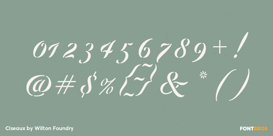 Ciseaux Font Poster #4