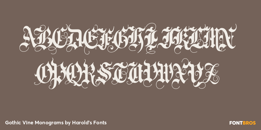 Gothic Vine Monograms Font Poster #2