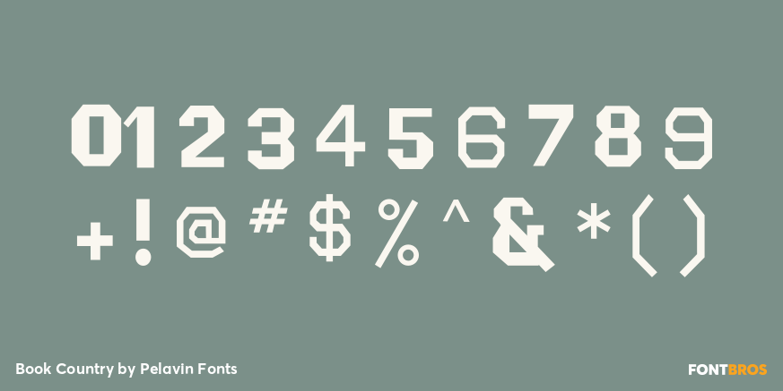 Book Country Font Poster #4