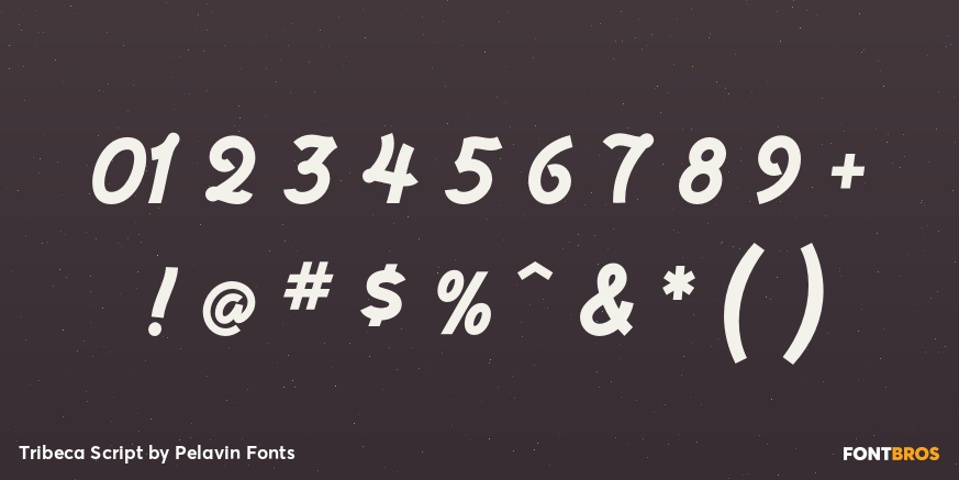 Tribeca Script Font Poster #4