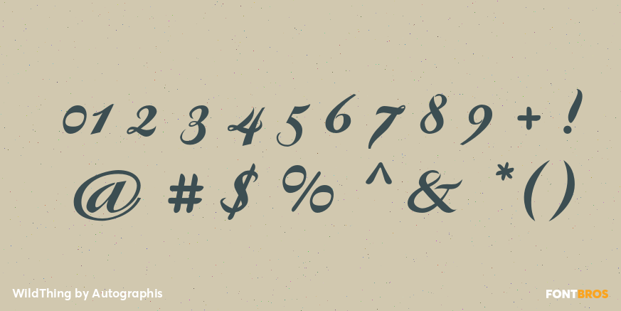 WildThing Font Poster #1