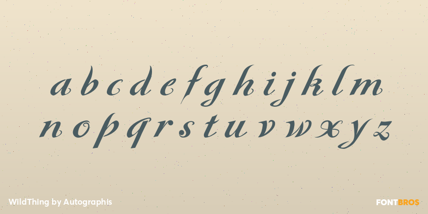 WildThing Font Poster #1