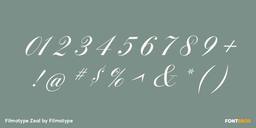 Filmotype Zeal Font Poster #4