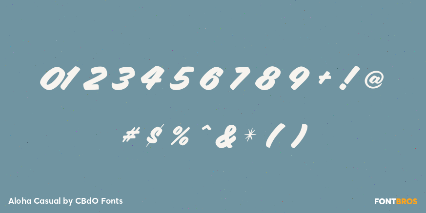 Aloha Casual Font Poster #1