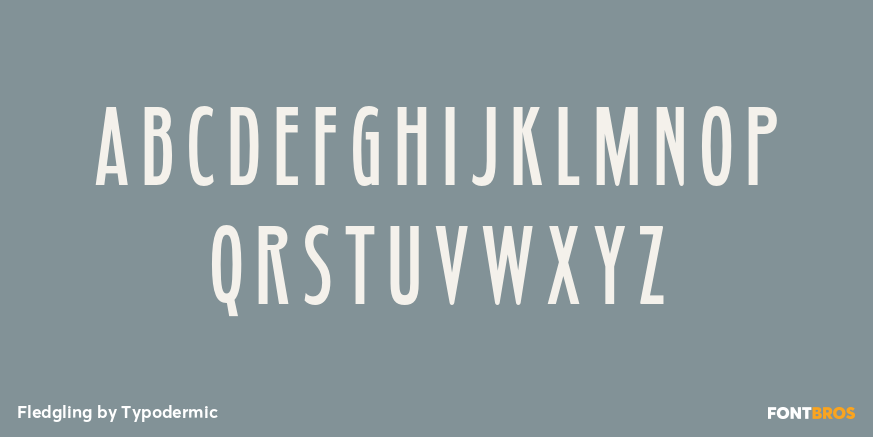 Fledgling Font Poster #1