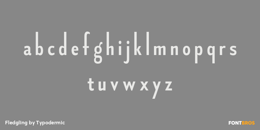 Fledgling Font Poster #1