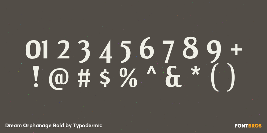 Dream Orphanage Bold Font Poster #4