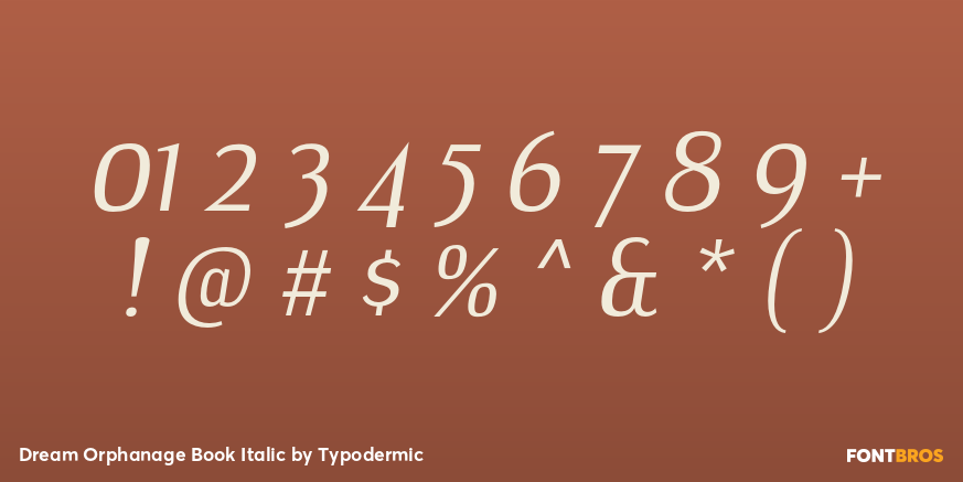 Dream Orphanage Book Italic Font Poster #1