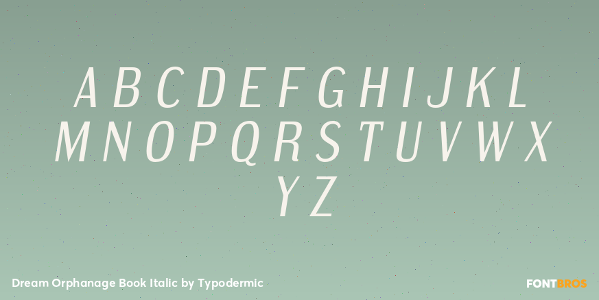 Dream Orphanage Book Italic Font Poster #2