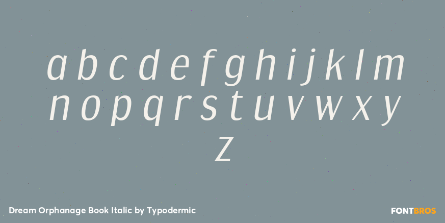 Dream Orphanage Book Italic Font Poster #3