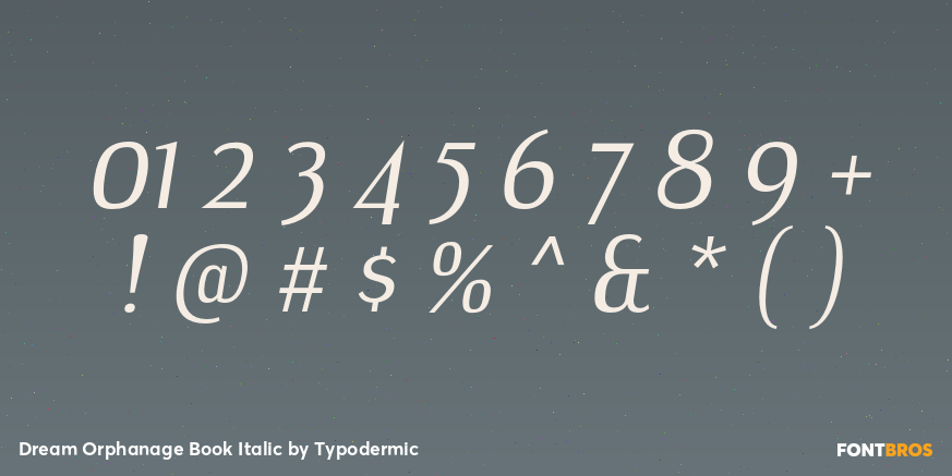 Dream Orphanage Book Italic Font Poster #4