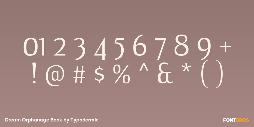 Dream Orphanage Book Font Poster #4