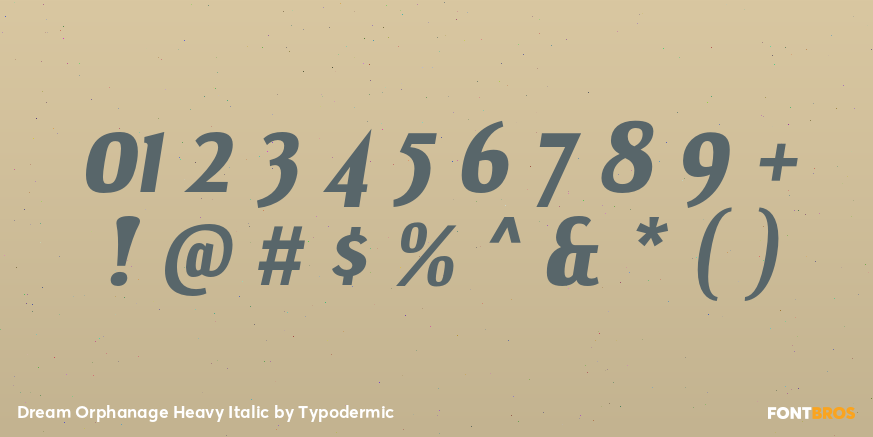 Dream Orphanage Heavy Italic Font Poster #4