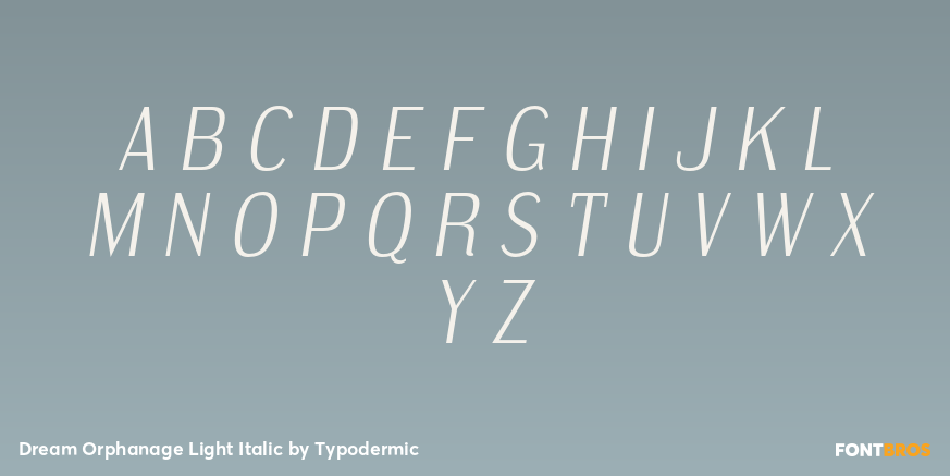 Dream Orphanage Light Italic Font Poster #2