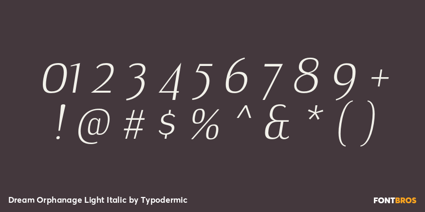 Dream Orphanage Light Italic Font Poster #4