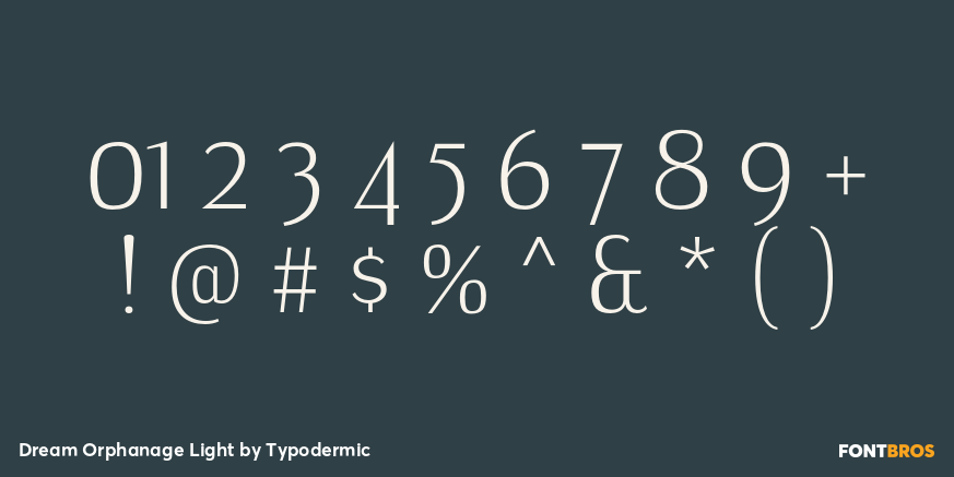 Dream Orphanage Light Font Poster #4