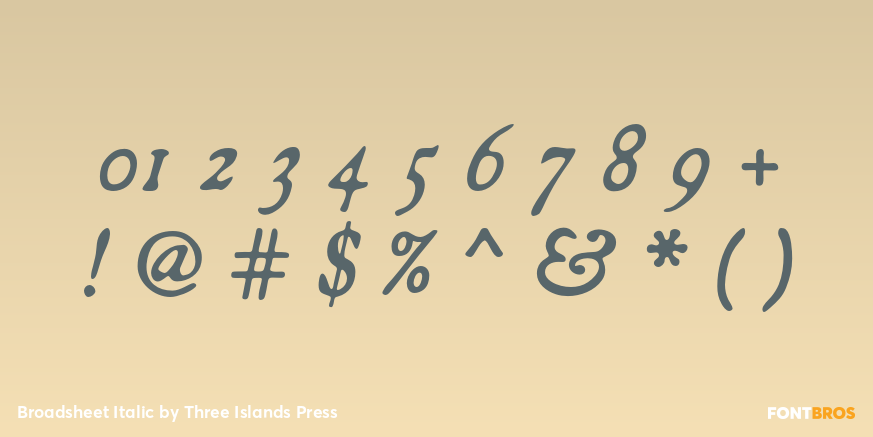 Broadsheet Italic Font Poster #4