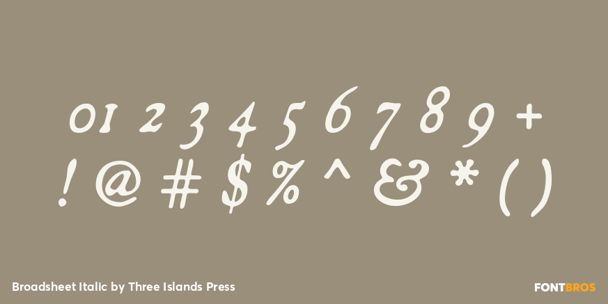 Broadsheet Italic Font Poster #4