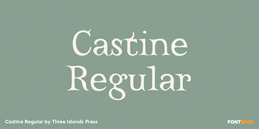 Castine Regular Font Poster #1