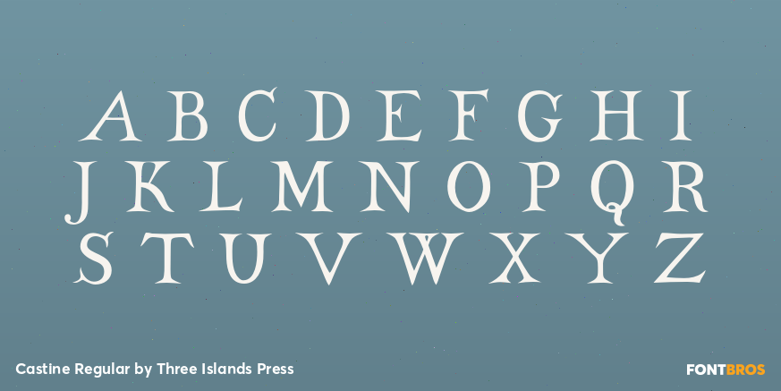 Castine Regular Font Poster #2