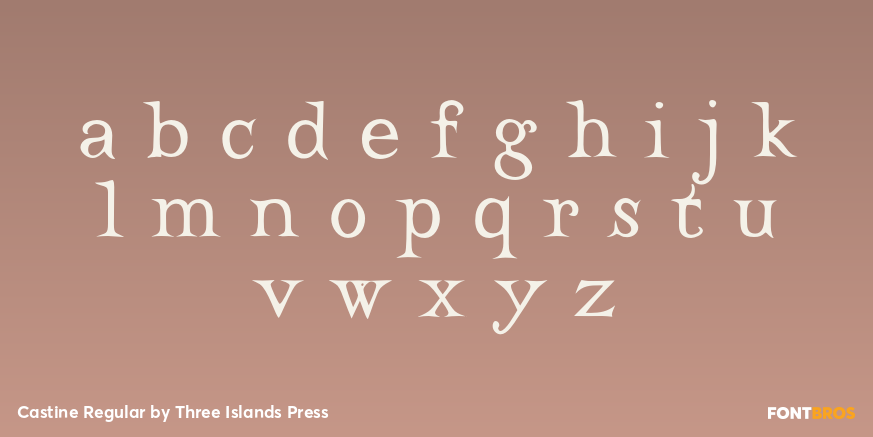 Castine Regular Font Poster #3