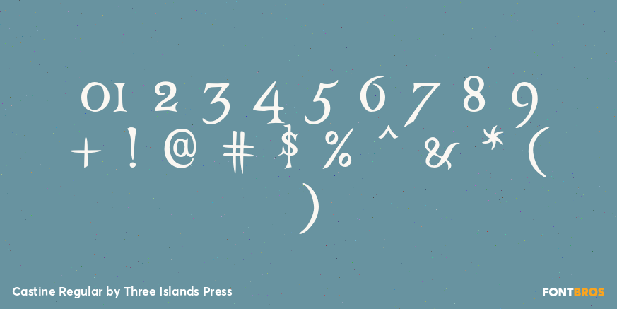 Castine Regular Font Poster #4