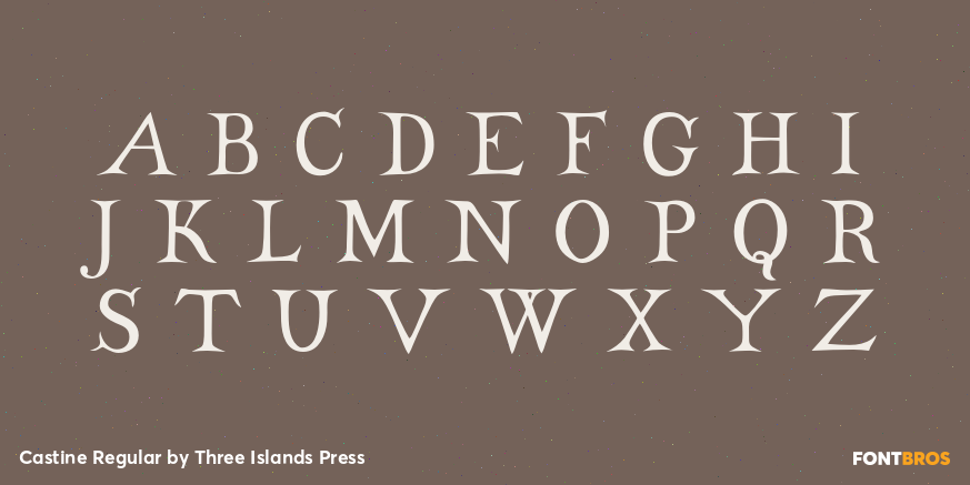 Castine Regular Font Poster #1