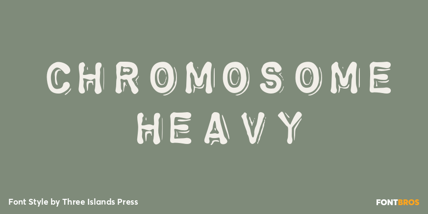 Chromosome Heavy Poster