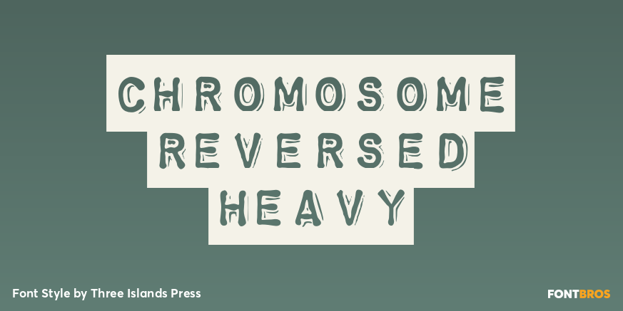 Chromosome Reversed Heavy Poster